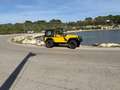 Jeep Wrangler Wrangler 4.0 Aut. Amarillo - thumbnail 9