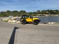 Jeep Wrangler Wrangler 4.0 Aut. Amarillo - thumbnail 10