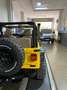 Jeep Wrangler Wrangler 4.0 Aut. Amarillo - thumbnail 15