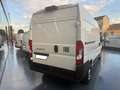 Fiat Ducato 35 2.2 Mjt 140CV PM-TM Furgone Bianco - thumbnail 8