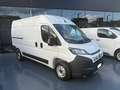 Fiat Ducato 35 2.2 Mjt 140CV PM-TM Furgone Bianco - thumbnail 14