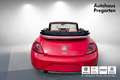Volkswagen Beetle VW The Beetle Cabriolet Austria TSI Rot - thumbnail 4