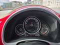 Volkswagen Beetle VW The Beetle Cabriolet Austria TSI Rot - thumbnail 5