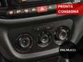 Fiat Doblo Doblò 1.6 MJT 120CV Cassonato Work-Up - thumbnail 13