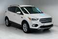 Ford Kuga 2.0 TDCi Titanium*AHK*R-KAMERA* Weiß - thumbnail 4