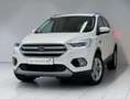 Ford Kuga 2.0 TDCi Titanium*AHK*R-KAMERA* Weiß - thumbnail 2