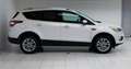Ford Kuga 2.0 TDCi Titanium*AHK*R-KAMERA* Weiß - thumbnail 7