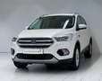 Ford Kuga 2.0 TDCi Titanium*AHK*R-KAMERA* Weiß - thumbnail 6