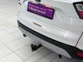 Ford Kuga 2.0 TDCi Titanium*AHK*R-KAMERA* Weiß - thumbnail 13
