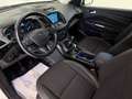 Ford Kuga 2.0 TDCi Titanium*AHK*R-KAMERA* Weiß - thumbnail 16