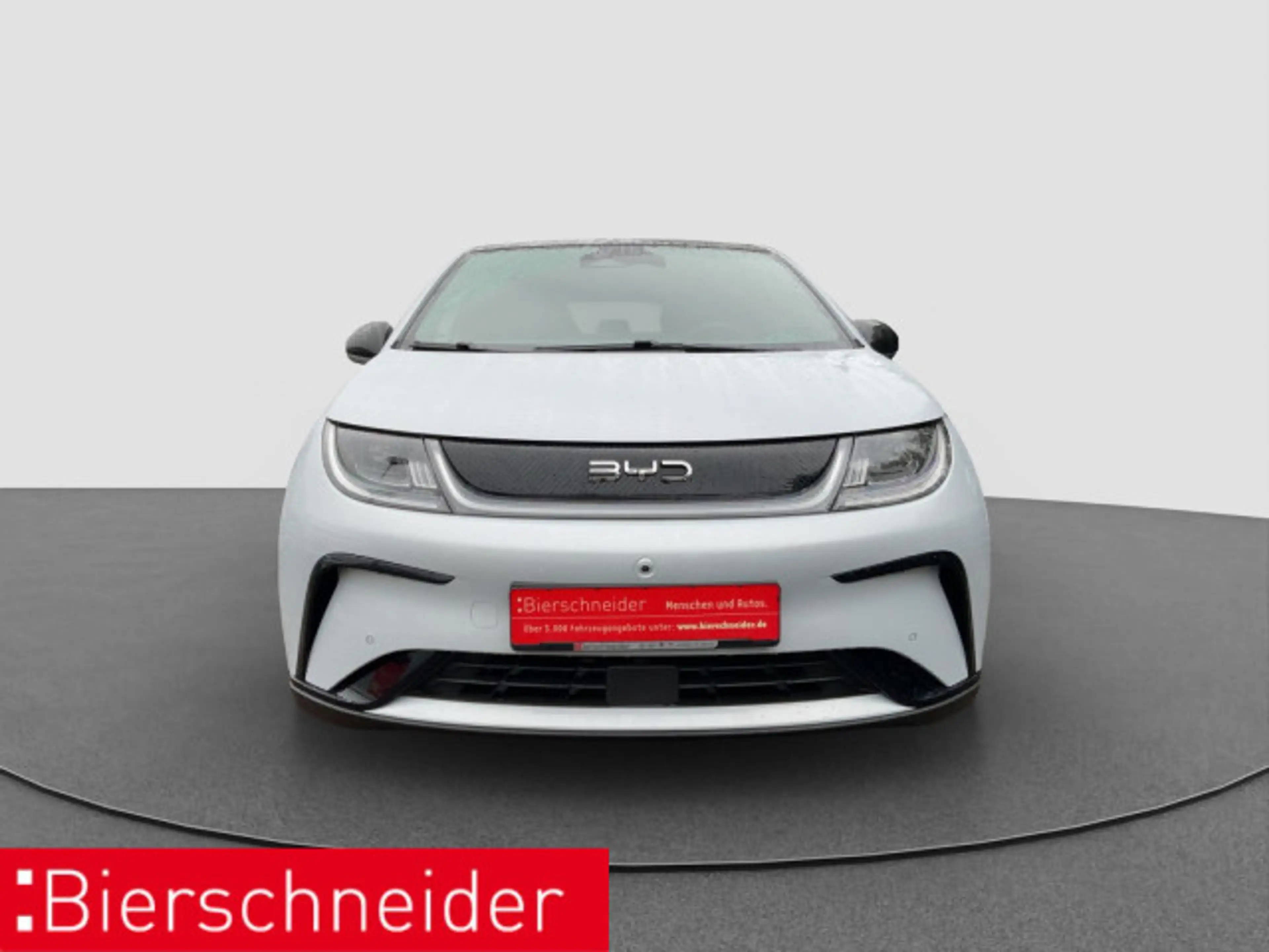 BYD Dolphin Dolphin Design LED PANO NAVI 360 — photo 3