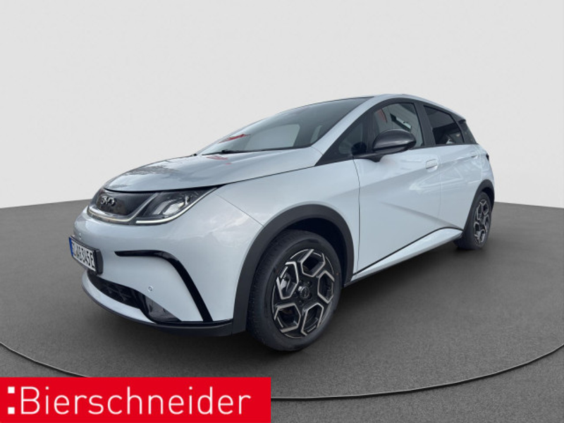BYD Dolphin Dolphin Design LED PANO NAVI 360 — photo 3
