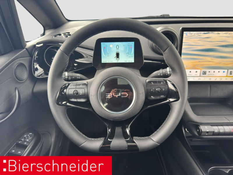 BYD Dolphin Dolphin Design LED PANO NAVI 360 — photo 13