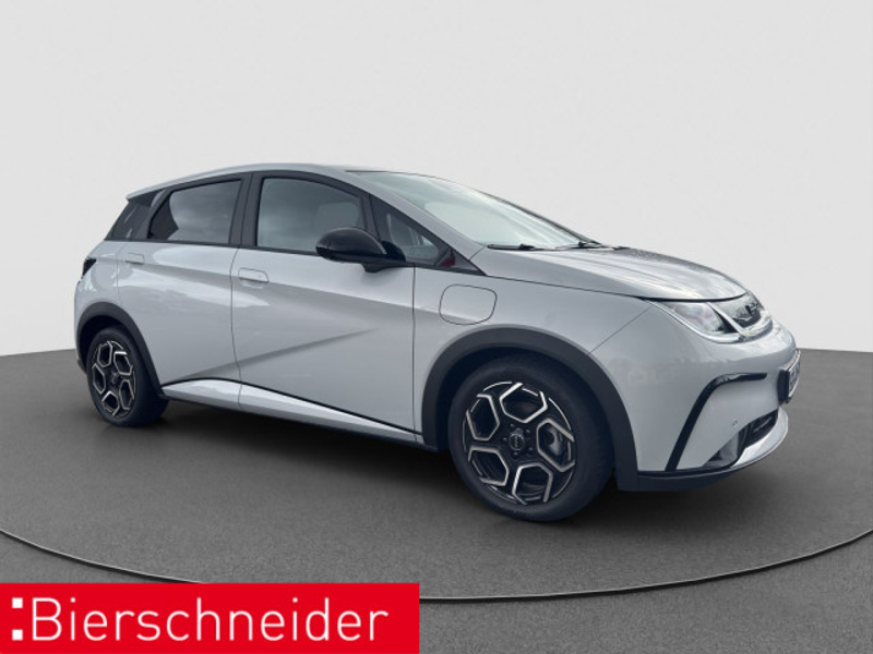 BYD Dolphin Dolphin Design LED PANO NAVI 360 — photo 6