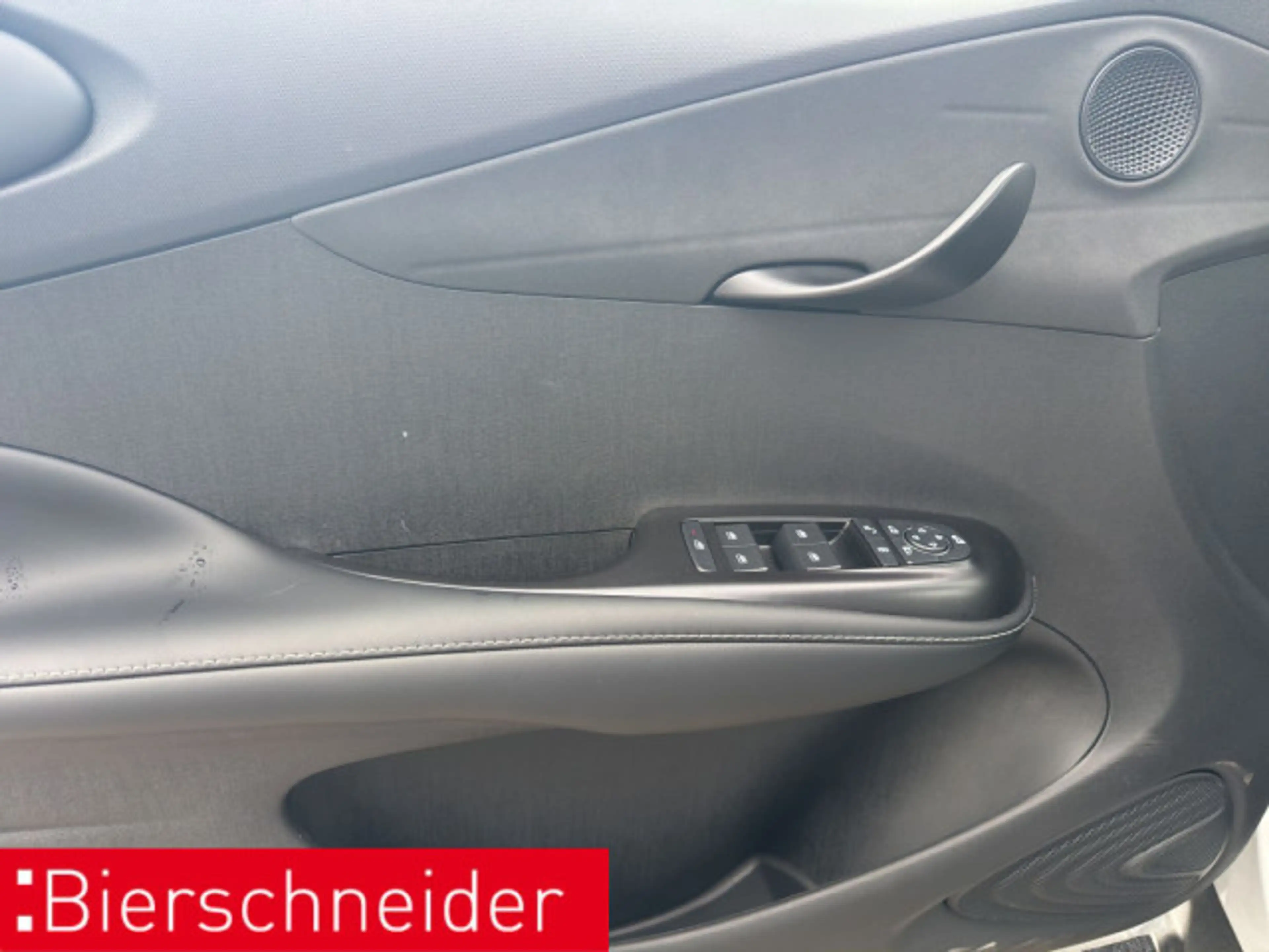 BYD Dolphin Dolphin Design LED PANO NAVI 360 — photo 10
