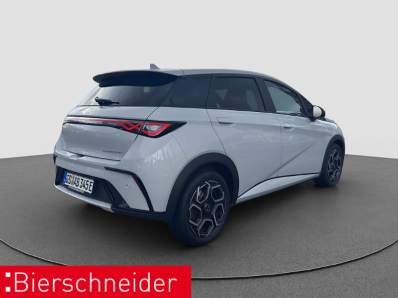BYD Dolphin Dolphin Design LED PANO NAVI 360 — photo 9