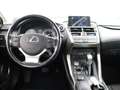 Lexus NX 300h 2WD Business Line Limited | Adaptive Cruise Contro Wit - thumbnail 36