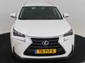 Lexus NX 300h 2WD Business Line Limited | Adaptive Cruise Contro Blanco - thumbnail 21