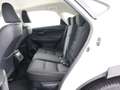 Lexus NX 300h 2WD Business Line Limited | Adaptive Cruise Contro Blanco - thumbnail 15