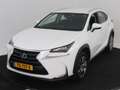 Lexus NX 300h 2WD Business Line Limited | Adaptive Cruise Contro Blanco - thumbnail 22