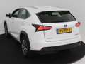 Lexus NX 300h 2WD Business Line Limited | Adaptive Cruise Contro Blanco - thumbnail 12