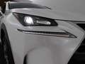 Lexus NX 300h 2WD Business Line Limited | Adaptive Cruise Contro Wit - thumbnail 35