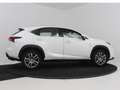 Lexus NX 300h 2WD Business Line Limited | Adaptive Cruise Contro Wit - thumbnail 3