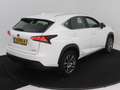 Lexus NX 300h 2WD Business Line Limited | Adaptive Cruise Contro Wit - thumbnail 13