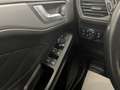 Ford Focus Traveller 1,5 EcoBlue Trend*AHK*Parksensoren*Bl... Weiß - thumbnail 36