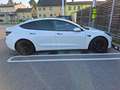 Tesla Model 3 Model 3 SR+ 55 KW LRW China 325PS Weiß - thumbnail 8