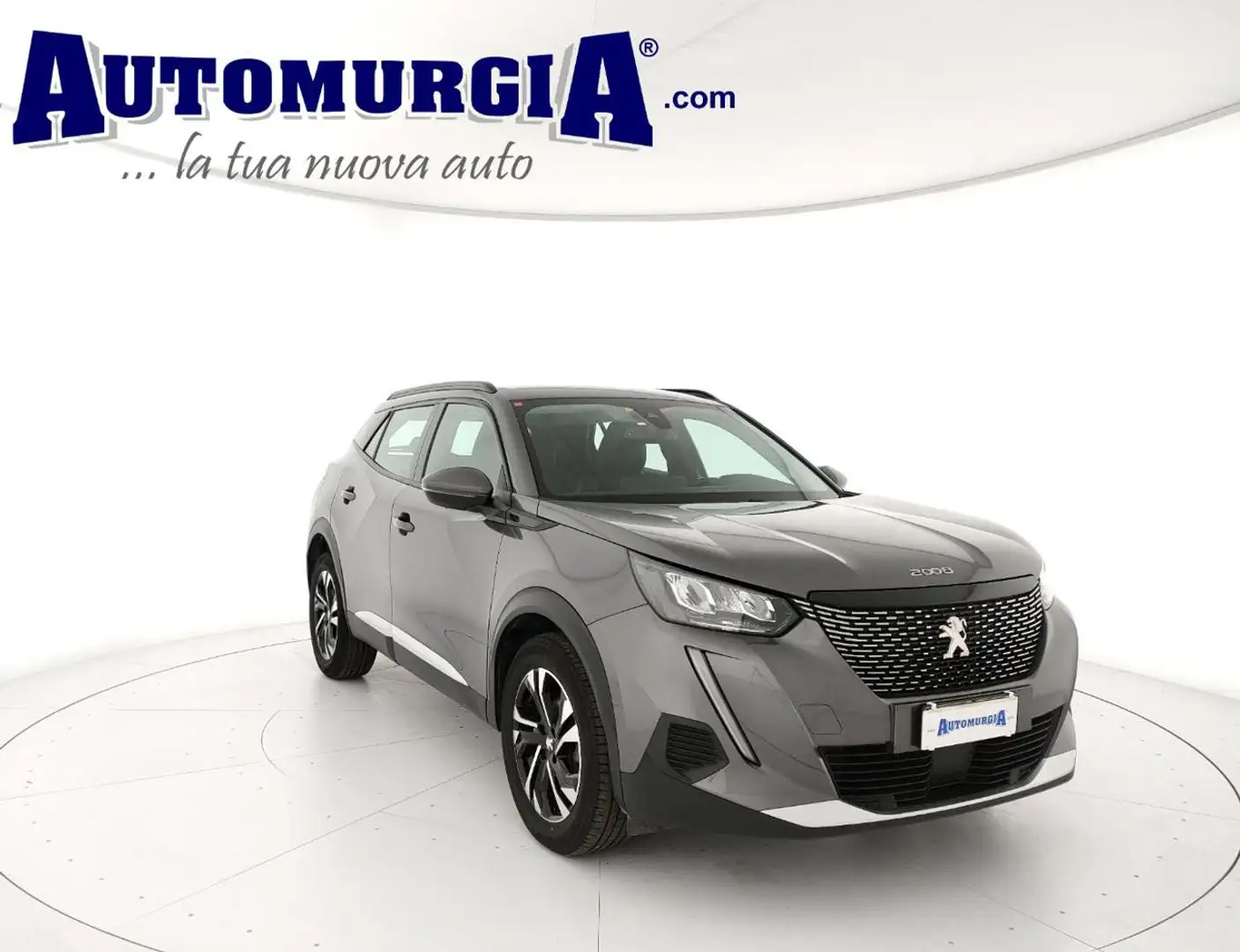Peugeot 2008 BlueHDi 100 S&S Allure Navi Pack N1 (IVA esclusa) Gris - 1