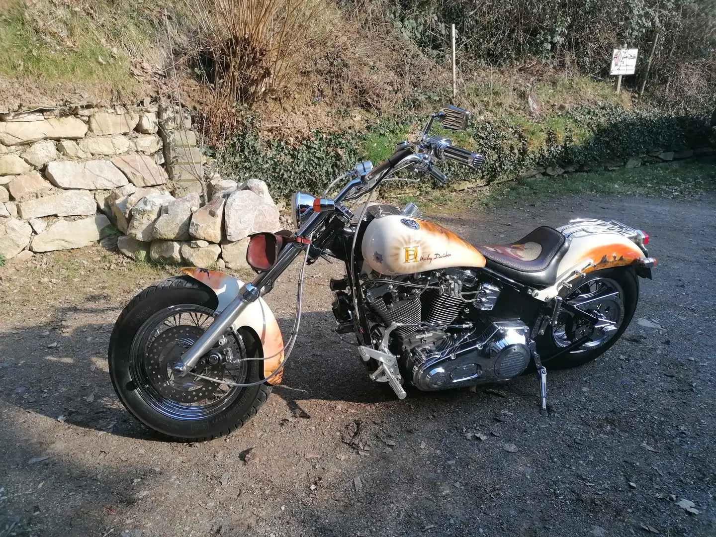 Harley-Davidson Softail - 2