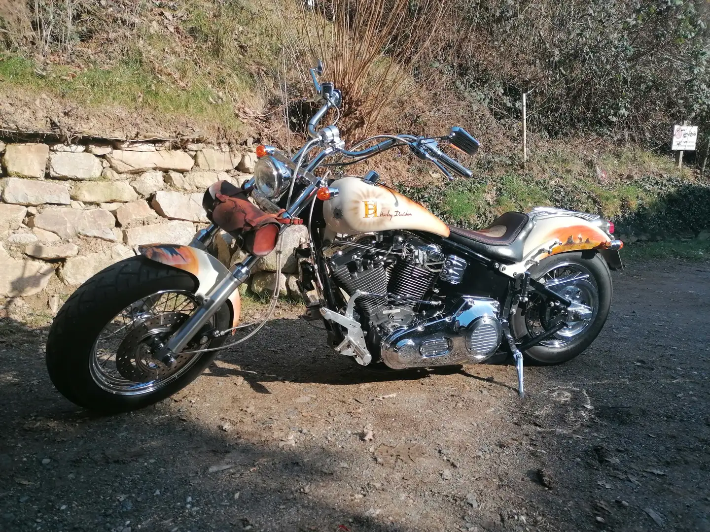 Harley-Davidson Softail - 1