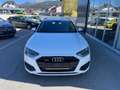 Audi A4 Avant 40 TDI quattro S-tronic *Allrad*79.000km* Weiß - thumbnail 2