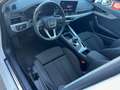 Audi A4 Avant 40 TDI quattro S-tronic *Allrad*79.000km* Weiß - thumbnail 11