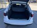 Audi A4 Avant 40 TDI quattro S-tronic *Allrad*79.000km* Weiß - thumbnail 7