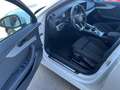 Audi A4 Avant 40 TDI quattro S-tronic *Allrad*79.000km* Weiß - thumbnail 10