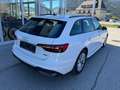 Audi A4 Avant 40 TDI quattro S-tronic *Allrad*79.000km* Weiß - thumbnail 6