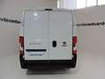 Fiat Ducato Fg. 35 L2H2 Multijet 140cv Blanco - thumbnail 5