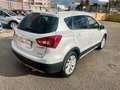 Suzuki SX4 S-Cross S-Cross 1.6 ddis ALL-GRIPP 4X4 2 MODELLI LEGGERE Bianco - thumbnail 13