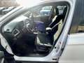 Suzuki SX4 S-Cross S-Cross 1.6 ddis ALL-GRIPP 4X4 2 MODELLI LEGGERE Bianco - thumbnail 14