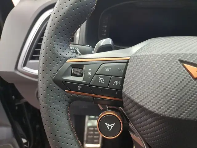 Cupra Ateca view 15