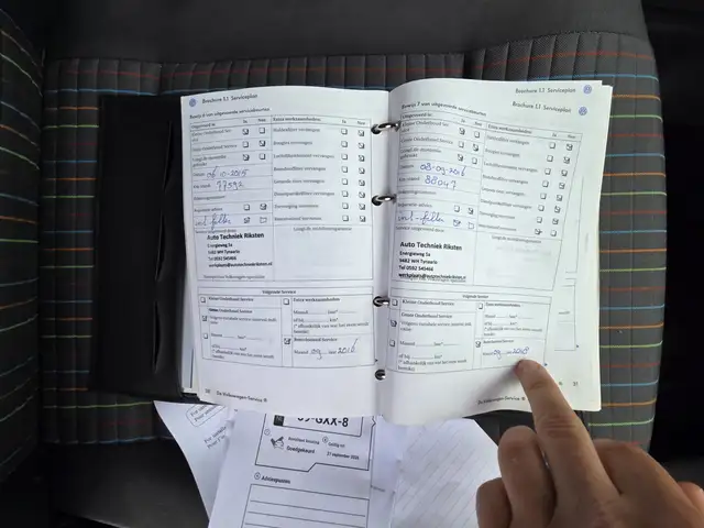 Volkswagen Polo view 15