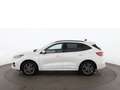 Ford Kuga 2.5 Duratec ST-Line X 4x4 Aut LED RADAR NAVI Weiß - thumbnail 5