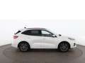 Ford Kuga 2.5 Duratec ST-Line X 4x4 Aut LED RADAR NAVI Weiß - thumbnail 2