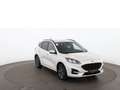 Ford Kuga 2.5 Duratec ST-Line X 4x4 Aut LED RADAR NAVI Weiß - thumbnail 6