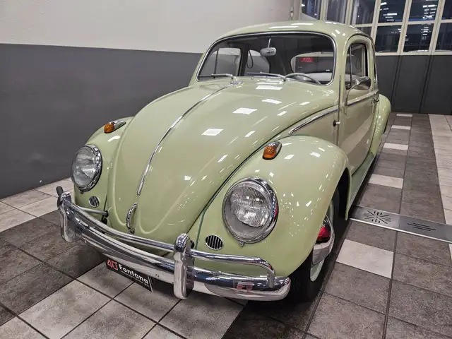 Volkswagen Maggiolino 6V