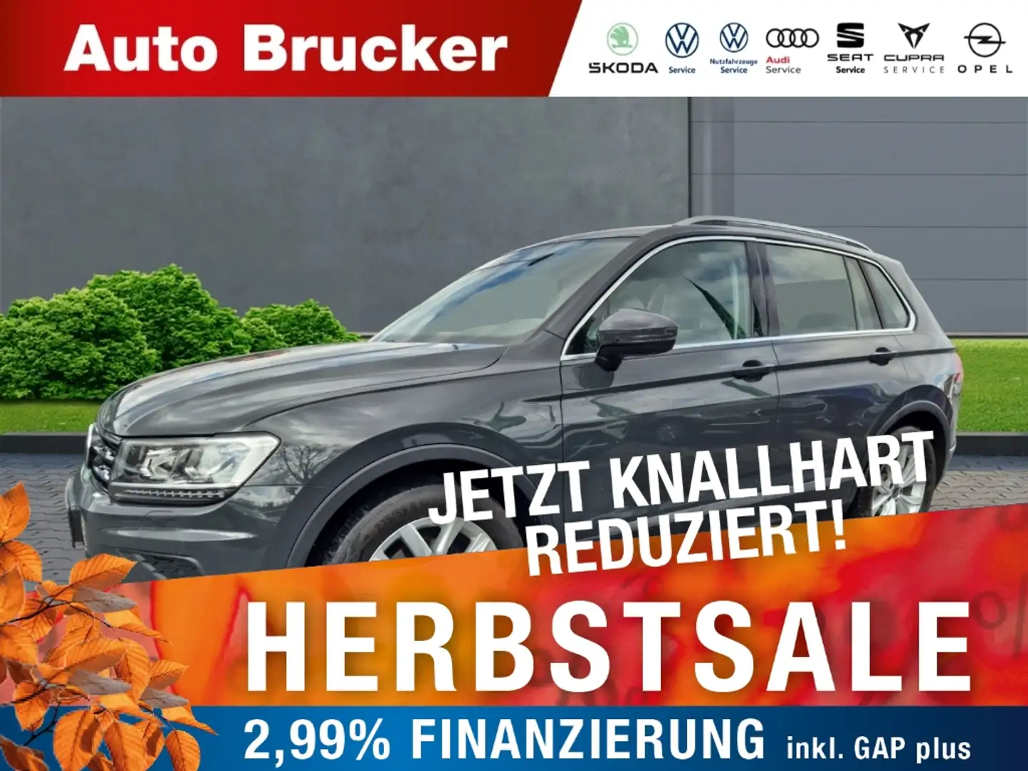 Volkswagen Tiguan Highline 1.5 TSI+Anhängerkupplung+Klimaautomatik Grau - 1