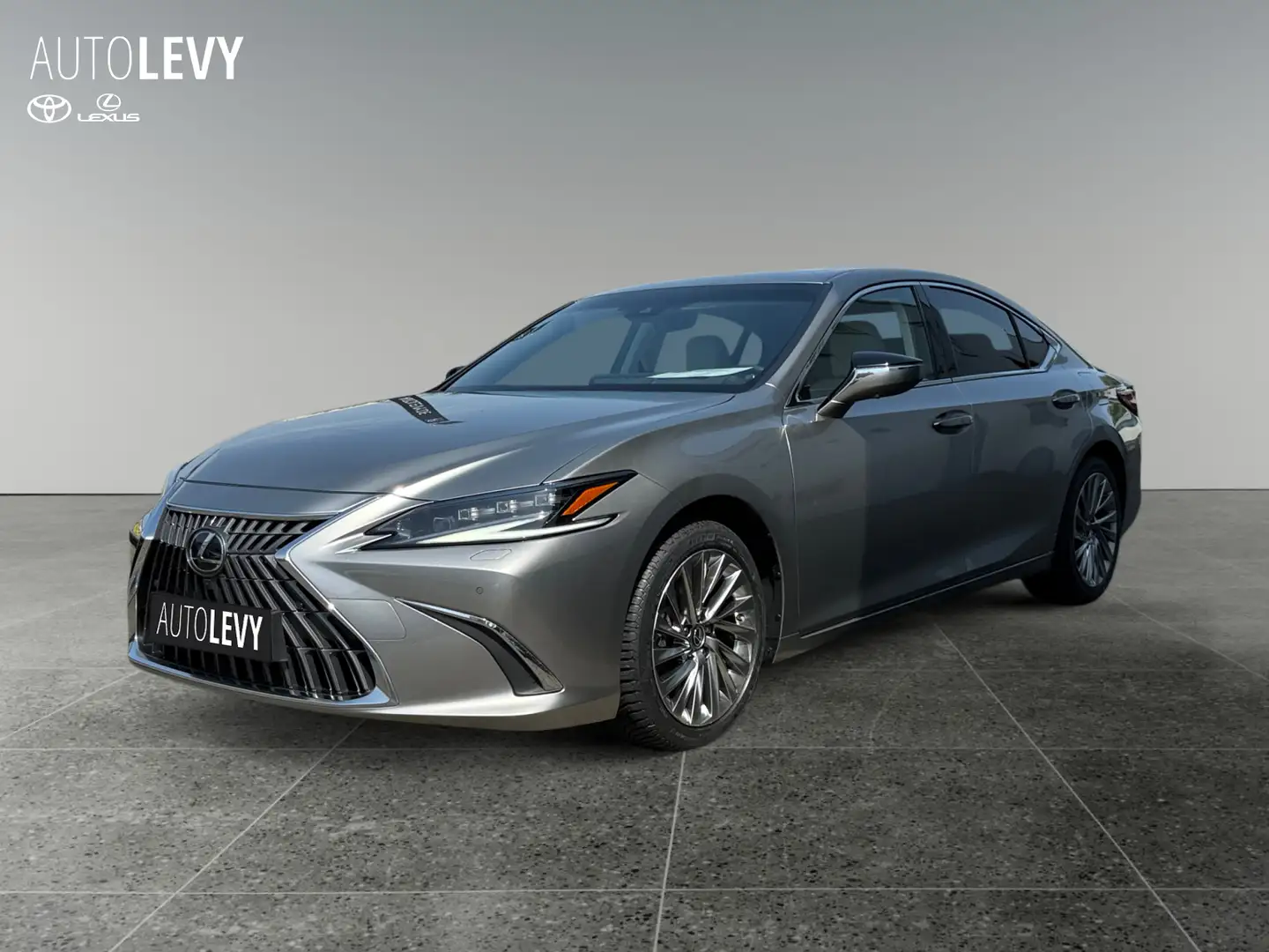 Lexus ES 300 h Privilege Line +Leder beige+Matrix+MarkL+ Silber - 2