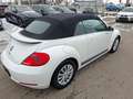 Volkswagen Beetle VW The Beetle Cabriolet TSI Weiß - thumbnail 6